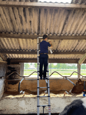 Puntstrip tegen dieren - Artavis.shop